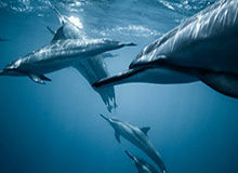 B体育app下载-违反博彩条例遭禁赛10周 马竞后卫是否罪有应得？