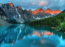 B体育官方入口-新人压阵天津女排横扫河南 朱婷休战三人得分上双